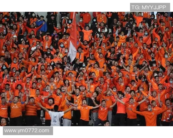 重庆网球队实力引发热议球迷与专家观点交锋激烈