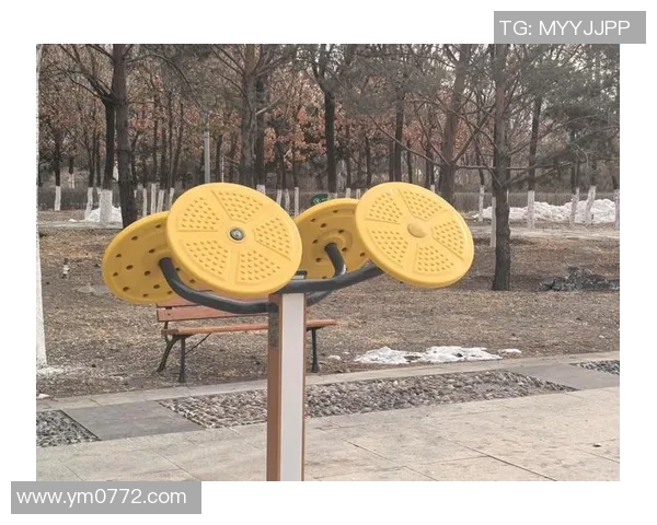 提升健身效果的必备神器选购指南 从基础到进阶的健身器材全解析