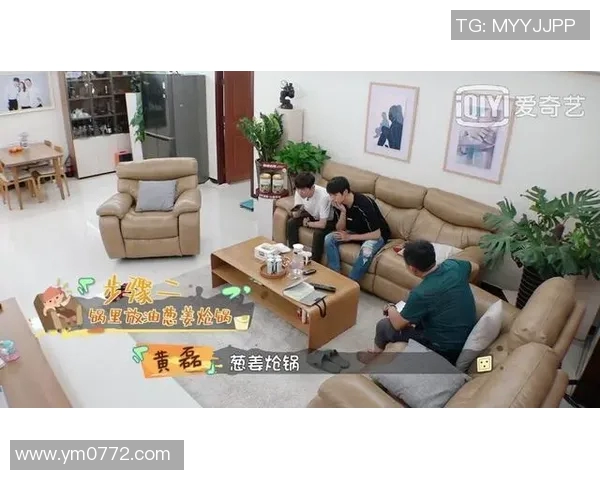 专访黄磊深度解析排球成功背后的秘诀与心路历程